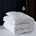 Winter Quilt Factory - Feather Soft Microfiber Thick Comforter Duvet