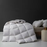 Down Comforter Manufacturer - Goose Duck Down Queen King Size Warm