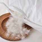 Down Duvet Manufacturer - Goose Feather Filling Soft Warm Lightweight