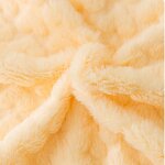 Dog Blanket Manufacturer - Fluffy Premium Soft Paw Printed Washable