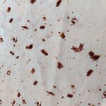 Tortilla Blanket Manufacturer - Round Double Sided Sofa Blanket