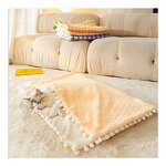 Dog Blanket Manufacturer - Fluffy Premium Soft Paw Printed Washable