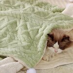 Pet Bed Factory - Manufacturer Wholesale Winter Warm Printed Cushion