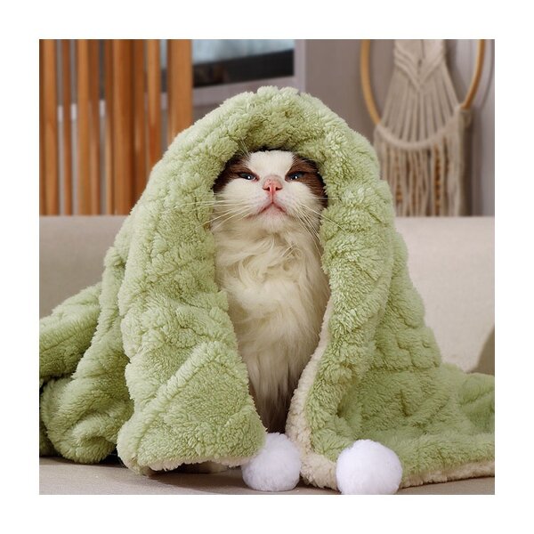 Pet Bed Factory - Manufacturer Wholesale Winter Warm Printed Cushion