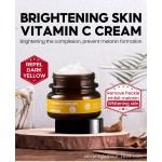 Snail Cream Supplier - Bulk Private Label 24k Gold Collagen Lightening