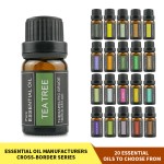 Body Oil Supplier - OEM Private Label Undaria Algae Firming Lightweight