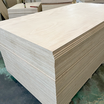 Laminated Plywood Manufacturer - OEM/ODM Best Selling 5-18Mm Ethylene Indoor Modern E1
