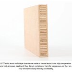 LVTT Board Factory - OEM/ODM Factory Direct E1 Waterproof Modern Wood Core Special Door