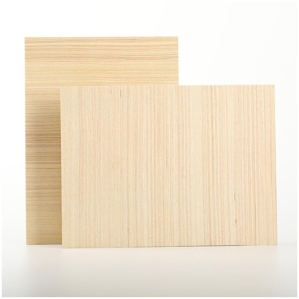 Birch Plywood Manufacturer - OEM/ODM Factory Price E1 Plain Sheet 5-25Mm