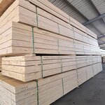 Birch Plywood Manufacturer - OEM/ODM Factory Direct Multi-Layer Poplar High Strength