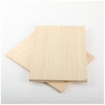 Plywood Board Factory - OEM/ODM OEM ODM Factory Wholesale E1 12202440 9mm
