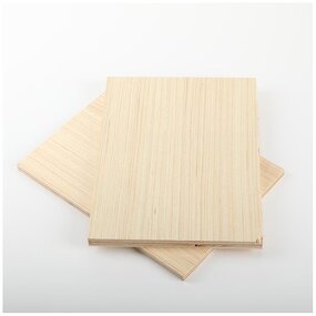 Plywood Board Factory - OEM/ODM OEM ODM Factory Wholesale E1 12202440 9mm