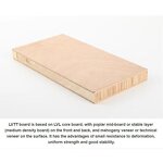 LVTT Board Manufacturer - OEM/ODM High Quality E1 Commercial Plywood 18-25mm for Cabinet