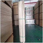 Curved Plywood Factory - OEM/ODM 1220x2440x3mm Bending Flexible Modern Design E1