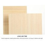Birch Plywood Manufacturer - OEM/ODM Factory Price E1 Plain Sheet 5-25Mm