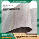 Curved Solid Wood Plywood Manufacturer - OEM/ODM 1-18mm Special-Shaped Bendable Multi-Layer