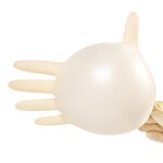 Latex Gloves Factory - OEM/ODM H6004G/M 9 Inch Powder Free Cleanroom 50 Pairs