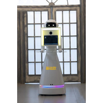 Magic Mirror Photo Booth Factory - Robot Unique Portable Selfie Touch