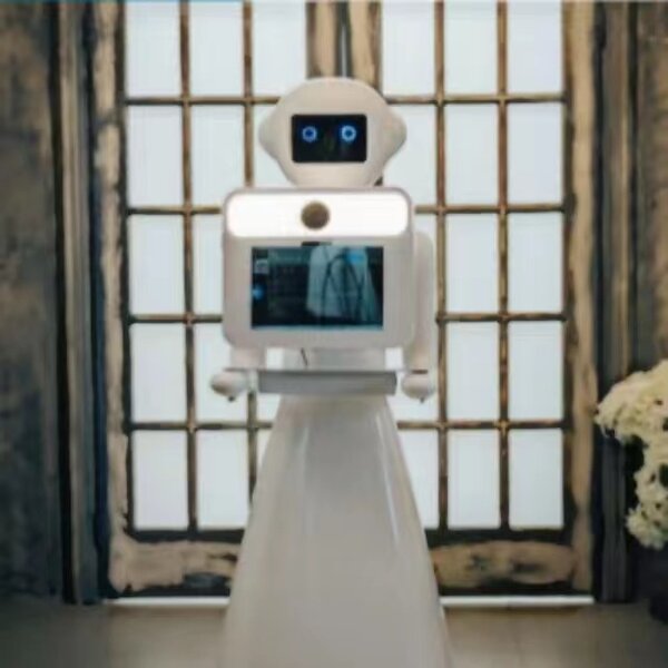 Robot Photo Booth Supplier - Customized 2024 Newest Trend Roamer Mirror