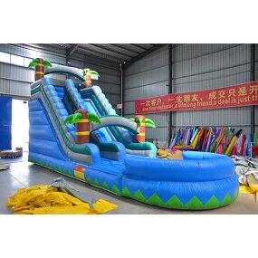Water Slide Manufacturer - Commercial Inflatable for Kid Bouncy Castle