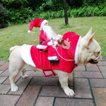 Pet Costume Manufacturer - Cute Christmas Design Eco-Friendly Dog Cat