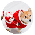 Pet Costume Manufacturer - Cute Christmas Design Eco-Friendly Dog Cat