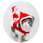 Pet Costume Manufacturer - Cute Christmas Design Eco-Friendly Dog Cat