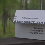 Paper Box Supplier - Small MOQ Custom Glue Free Shipping Airplane Zipper