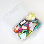 Key Tags Supplier - 50pcs Pack Plastic with Split Key Ring Label Window