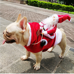 Pet Costume Manufacturer - Cute Christmas Design Eco-Friendly Dog Cat