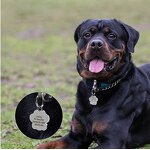 Dog Collar Id Tags Factory - Wholesale Blank Custom Engraving Name with Ring