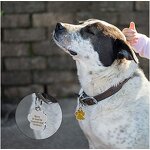 Dog Collar Id Tags Factory - Wholesale Blank Custom Engraving Name with Ring