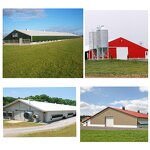 High Strength Steel Framing Factory - OEM/ODM Modern Chicken House 30000 Import Export Building