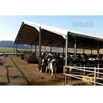 Open Site Steel Structure Manufacturer - OEM/ODM Building Cow House Dairy Cow Shed Design