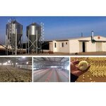 Pre Engineered Steel Buildings Manufacturer - OEM/ODM Low Cost Dairy Farm Shed Cow Shed Farm Kits