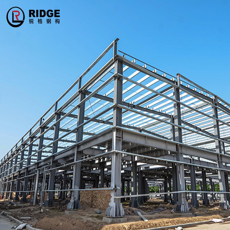 Metal Structure Building Factory - OEM/ODM Hot Sale Prefab Steel Structure High Rise with 3D