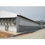 Prefabricated Building Factory - OEM/ODM Low Cost High Quality Steel Structure Chicken Shed Poultry
