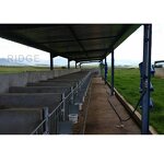 Open Site Steel Structure Manufacturer - OEM/ODM Building Cow House Dairy Cow Shed Design
