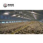 Prefab Steel Structure Poultry Farm Factory - OEM/ODM Chicken Shed Farm Building