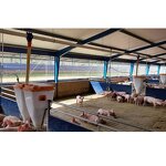 Light Steel Frame Sheds Manufacturer - OEM/ODM Pig Farm Equipment and Piggy Cage Sow House