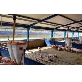 Light Steel Frame Sheds Manufacturer - OEM/ODM Pig Farm Equipment and Piggy Cage Sow House