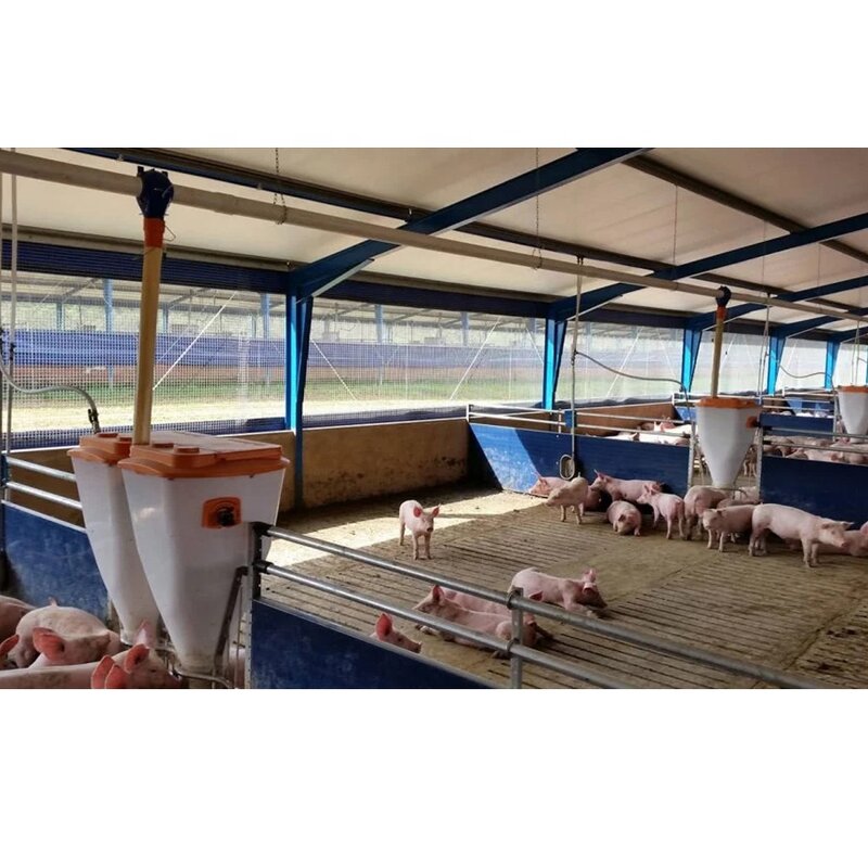 Light Steel Frame Sheds Manufacturer - OEM/ODM Pig Farm Equipment and Piggy Cage Sow House