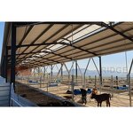 Prefabricated Cattle Farming Barn Factory - OEM/ODM Easy Install Cow Hangar Milking Cows Room