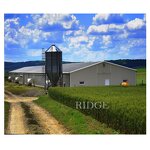 Automatic Poultry Shed Factory - OEM/ODM Farm Building Prefabricated Housing Steel Structure Chicken