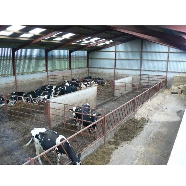 Building Steel Structure Cow Farm Manufacturer - OEM/ODM Cattle Farm Building Horse Barn Stable Panels