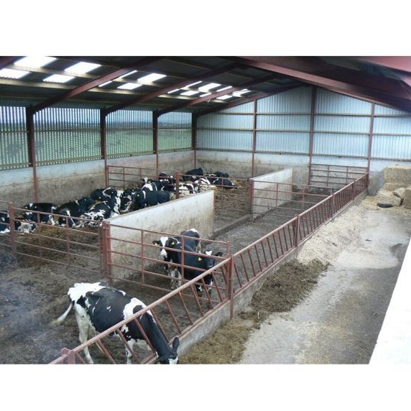 Building Steel Structure Cow Farm Manufacturer - OEM/ODM Cattle Farm Building Horse Barn Stable Panels