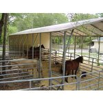 Modular Home Factory - OEM/ODM Quick Assemble Prefabricated Indoor Horse Riding Arena