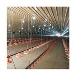 Commercial Metal Buildings Manufacturer - OEM/ODM Fast Assemble Steel Structure Design Poultry Farm