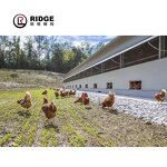 Commercial Metal Buildings Manufacturer - OEM/ODM Fast Assemble Steel Structure Design Poultry Farm