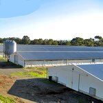 Prefabricated Building Factory - OEM/ODM Low Cost High Quality Steel Structure Chicken Shed Poultry